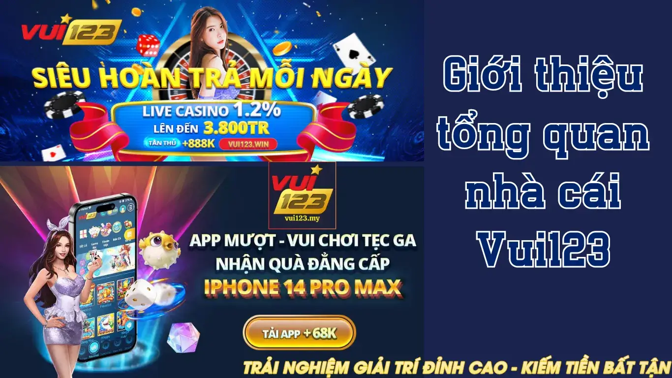 Cấp độ cao nhất là Vb68 - Vb68