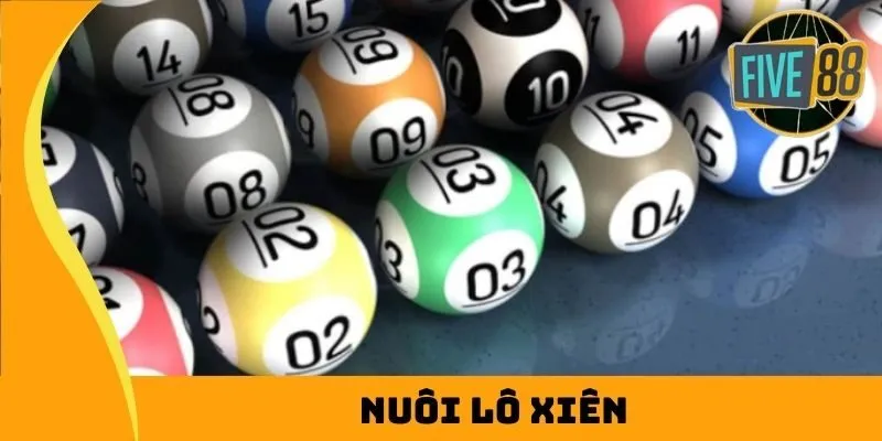 Hướng dẫn đăng ký tham gia cuộc thi đá gà cấp Win55 - Win55