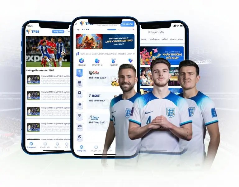 Trang web của 9Dbet có thông tin về tất cả các khu cắm trại - 9Dbet