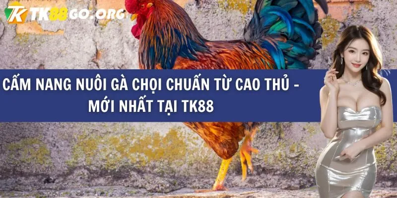 So sánh Asia99 với một số trang web chơi game khác hiện có - Asia99