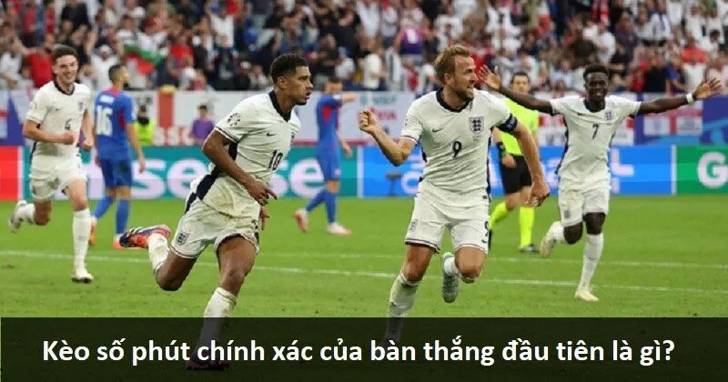 Sking88 là đại lý đặt chỗ hàng đầu tại Việt Nam - Sking88