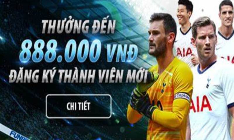 Hệ thống lịch sử tên miền của công ty game Zalv - Zalv