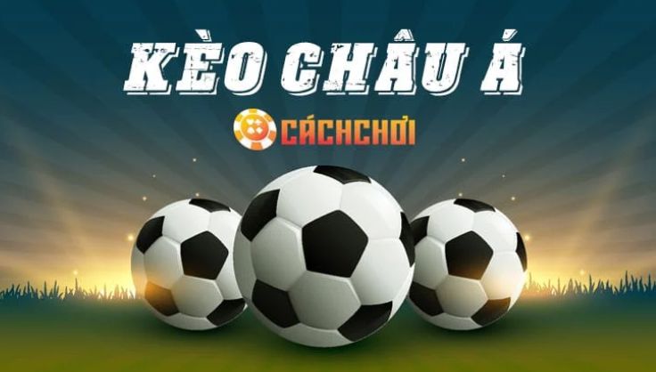 Cách đăng ký 23Vip và nhận tiền thưởng 100000 đô la - 23Vip