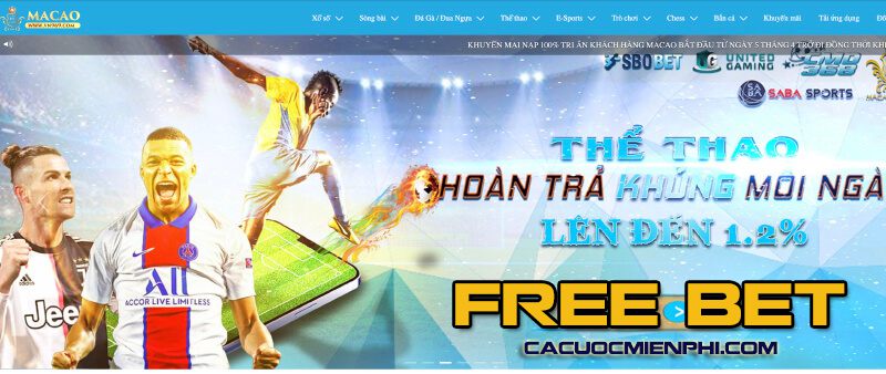 Câu hỏi thường gặp về dịch vụ trực tuyến của Mu8 - Mu8