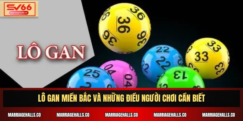 Nhận ngay ưu đãi 300% cho khoản tiền gửi đầu tiên tại Winvn - Winvn
