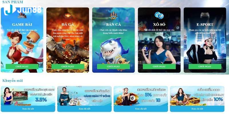 Điều gì khiến Vf555 trở nên xuất sắc đến vậy? - Vf555