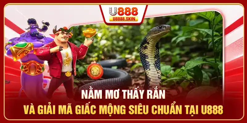 9Dbet là một trò chơi cao cấp cung cấp mã đổi thưởng hàng ngày - 9Dbet