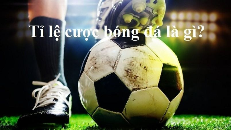 Các tựa game xếp hạng Bet888 năm 2026: Hơn 2500 game | Hơn 50 nhà cung cấp | Tất cả các thể loại - Bet888
