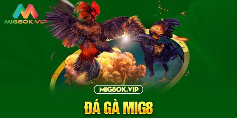 Cơ chế bảo mật Hu 777King - 777King