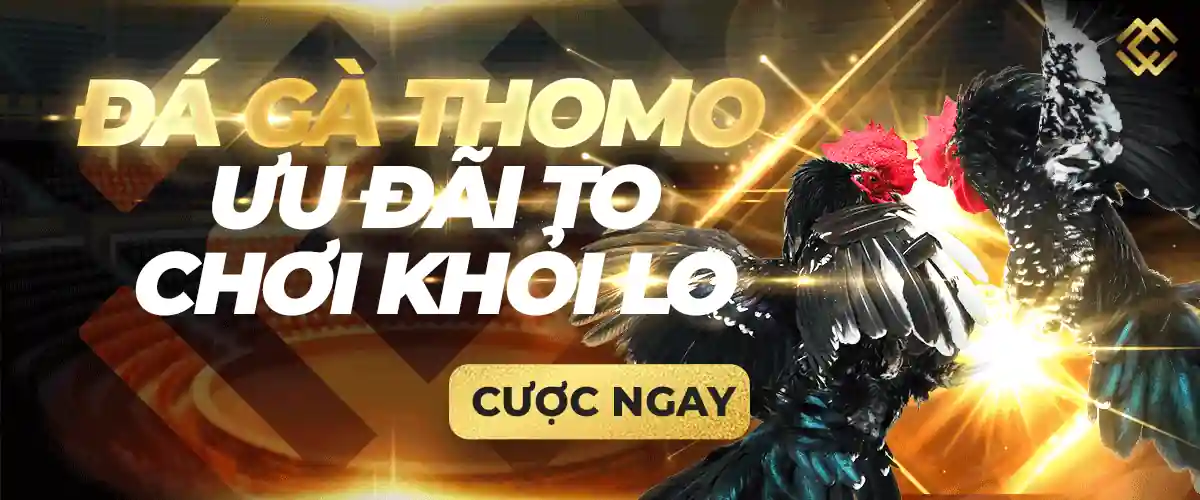 Tôi cần làm gì để đăng ký làm thành viên Mu9 và nhận 90000 điểm cá cược miễn phí? - Mu9