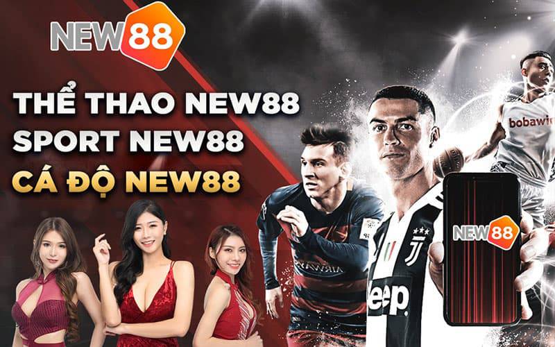 Dk8 Cược nhỏ, thắng hàng triệu đô la tiền thưởng - Dk8