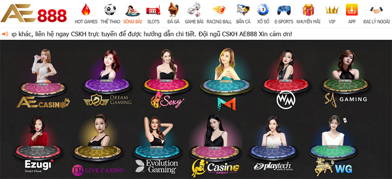 Trang web game đá gà cấp độ K8, chất lượng hàng đầu - K8