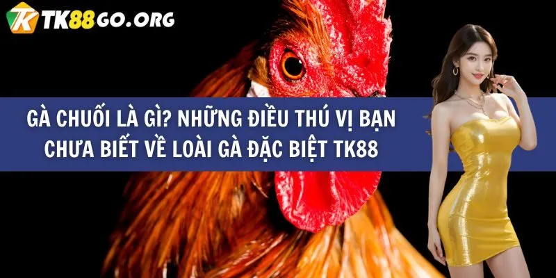 Cách thức tham gia các hoạt động quảng bá của Fun789 - Fun789