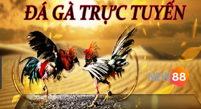 Trang chủ của công ty game 24N cung cấp nhiều tùy chọn - 24N